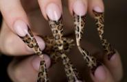 Леопардовый маникюр – лучшие идеи дизайна для коротких и длинных ногтей